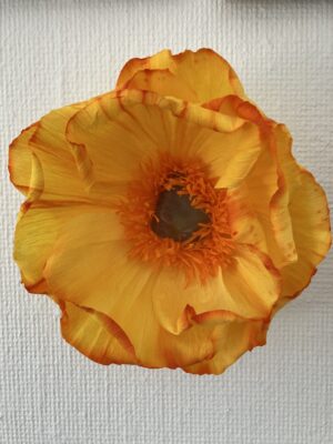 Vægkunst: Duftblomst Freja med grøn fluorit